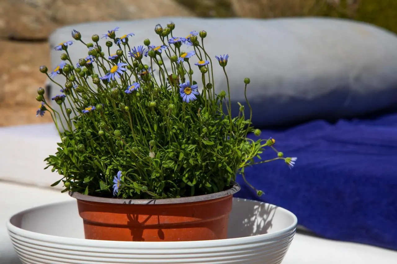 Mykonos-Ornos -Vilas Angel Alice Demi -Pool Holidays With View Mykonos Town
